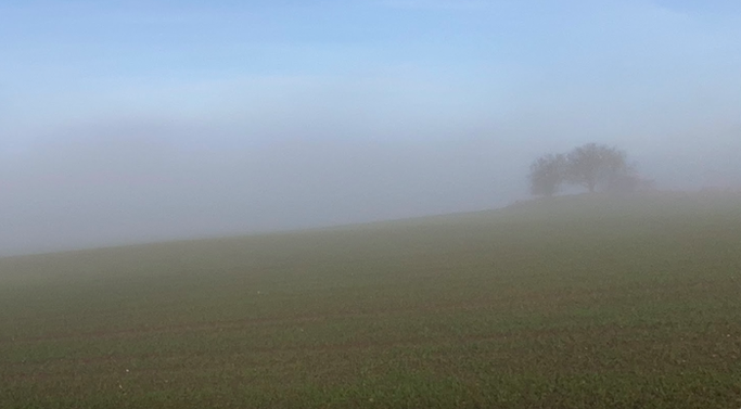 Danmark Dejligst