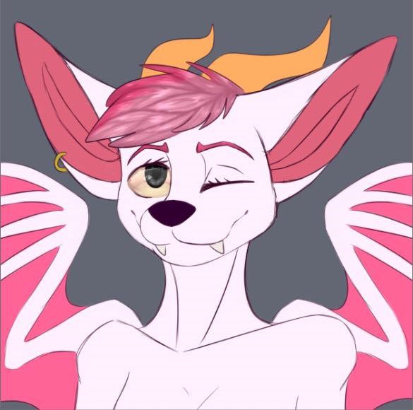 Board Games and Furwalk