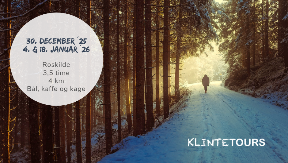 Stillevandring om Det Gode Liv - refleksioner i vinterlandskabet