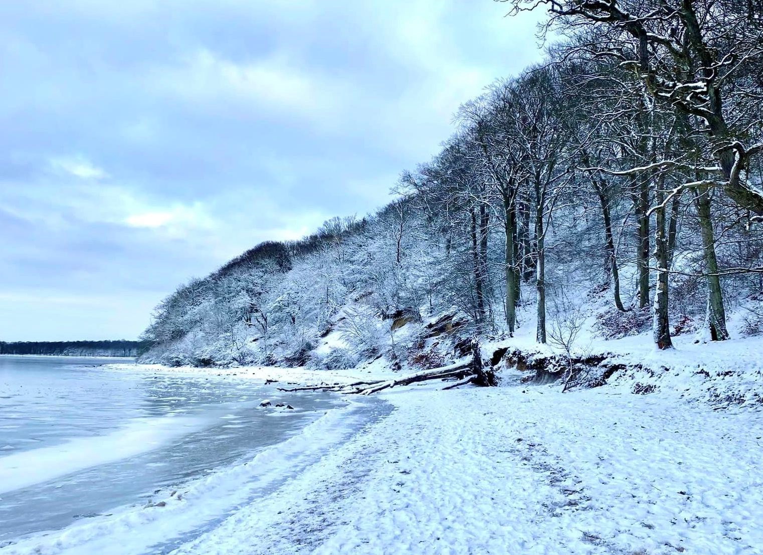 Stillevandring om Det Gode Liv - refleksioner i vinterlandskabet