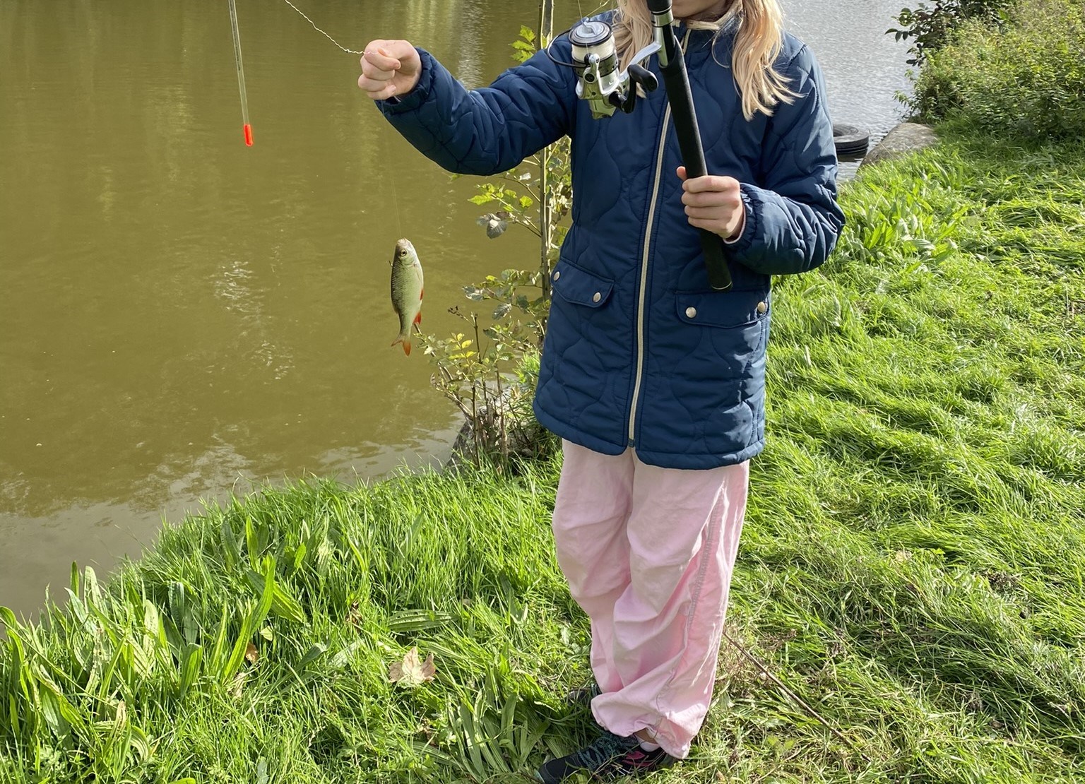 Gratis fiskeri i Lammefjordskanalerne