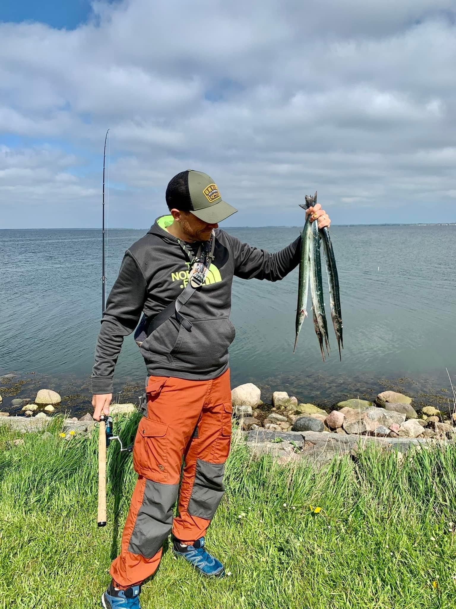 Gratis fiskeri efter hornfisk - Vordingborg Kommune
