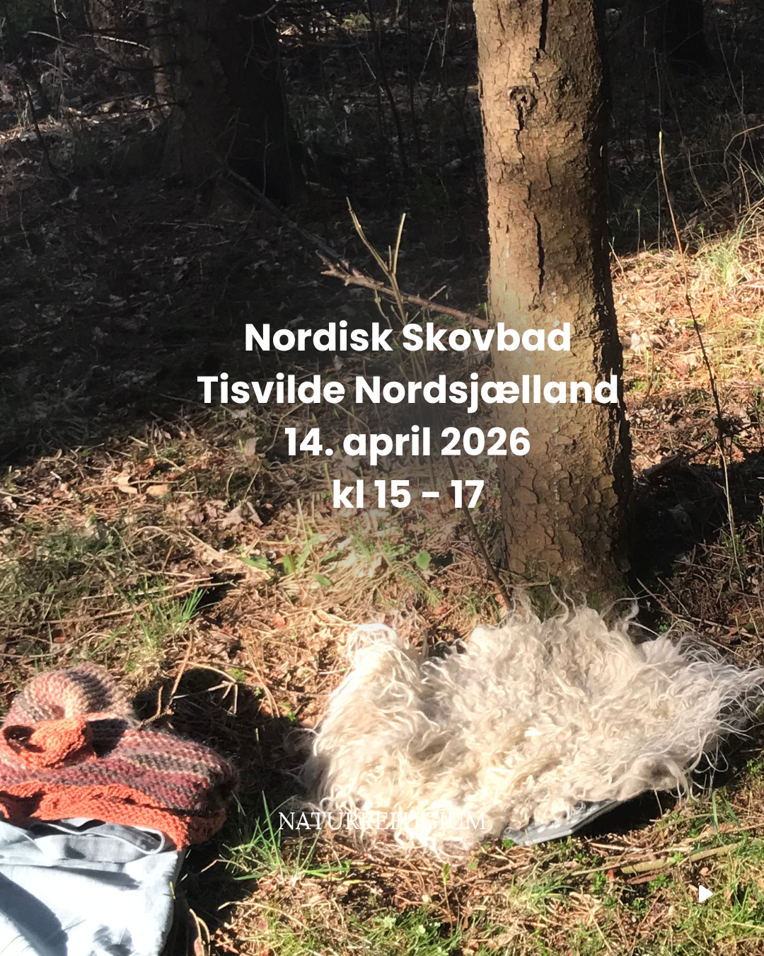 Forny din energi - en stillevandring i natur