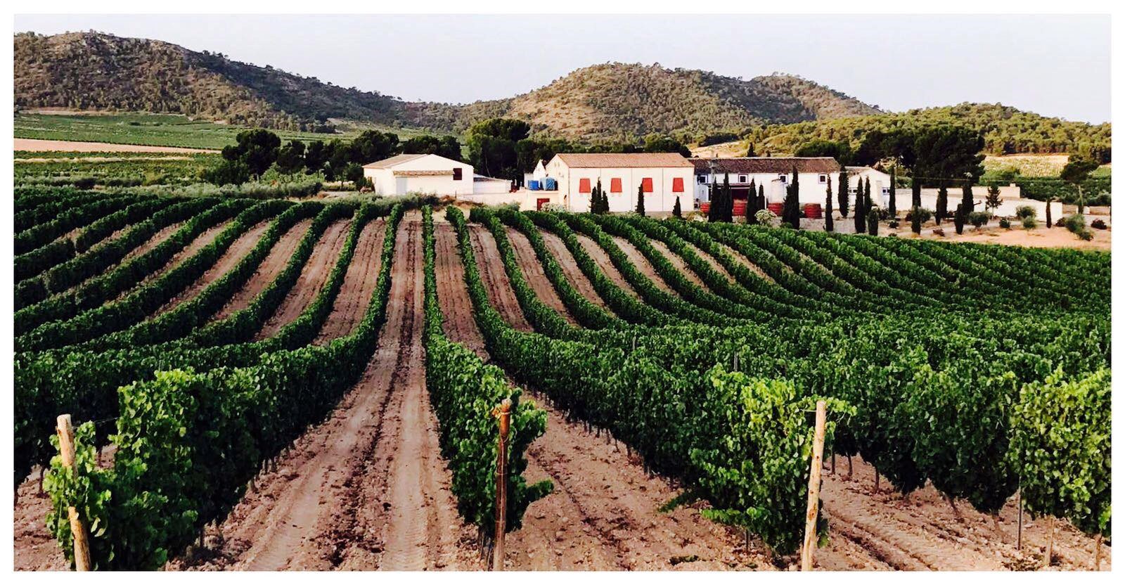 Vinsmagning hos Vinifera 25. marts - "Spanien rundt"