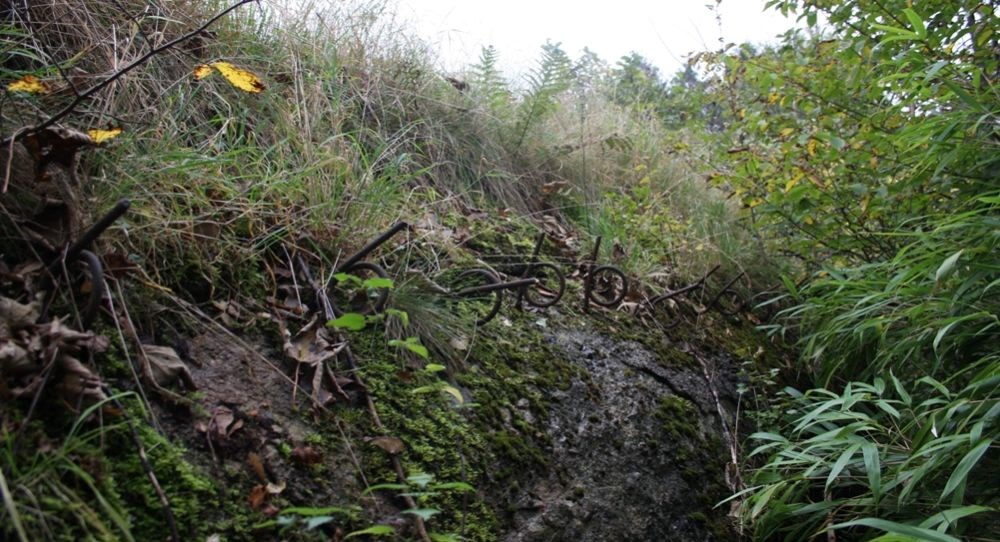 Bunkervandring i Skanderborg Dyrehave