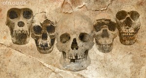 DNA og fossiler udvider vores stamtræ (via livestream fra Aarhus Universitet)