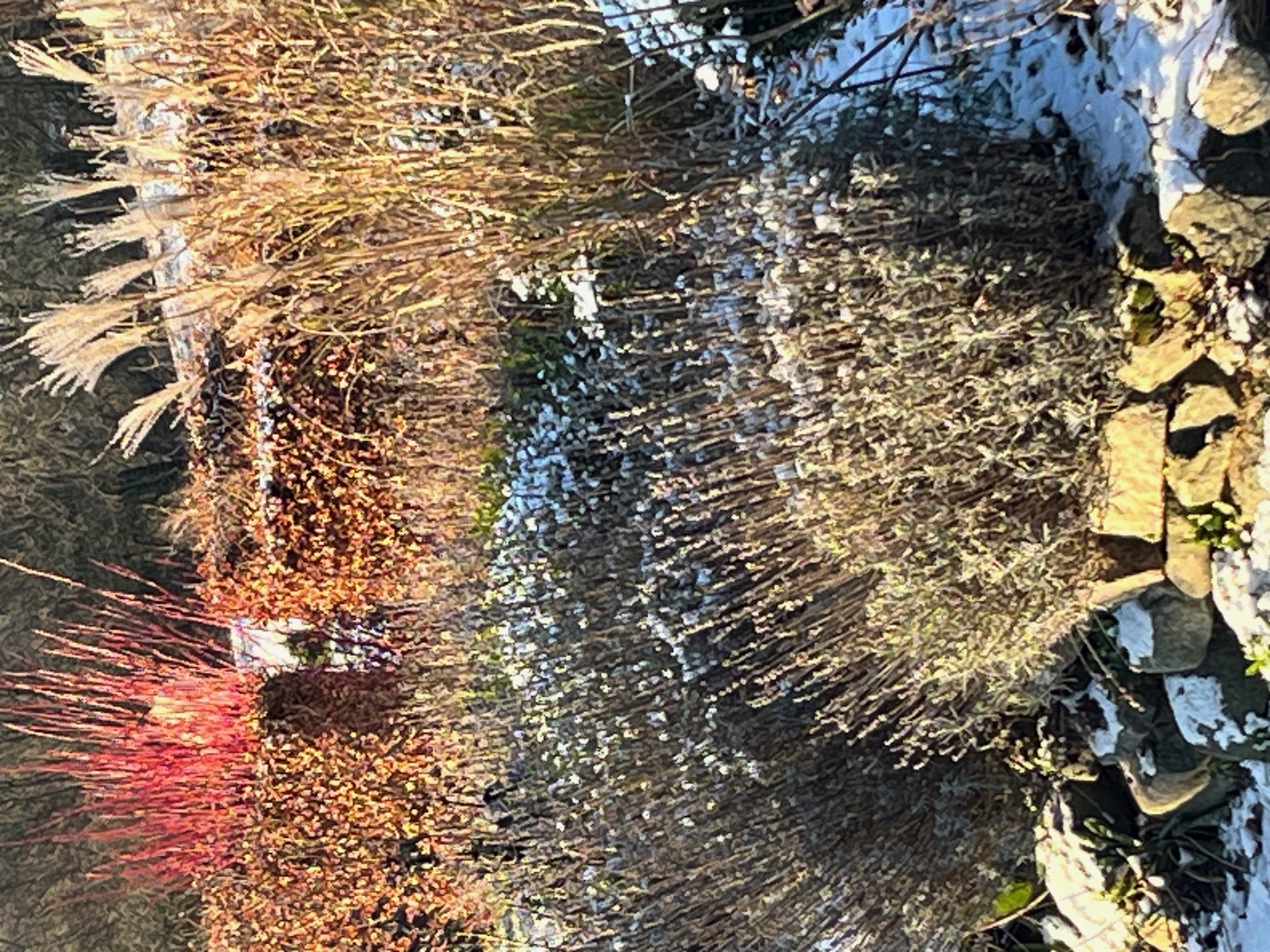 Generalforsamling i Haveselskabet Skanderborg & GRØFT holder oplæg