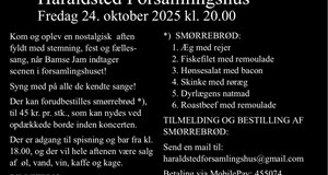 Koncert - Bamse Jam - en hyldest