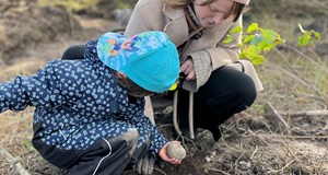 Vildskab og krudtugler