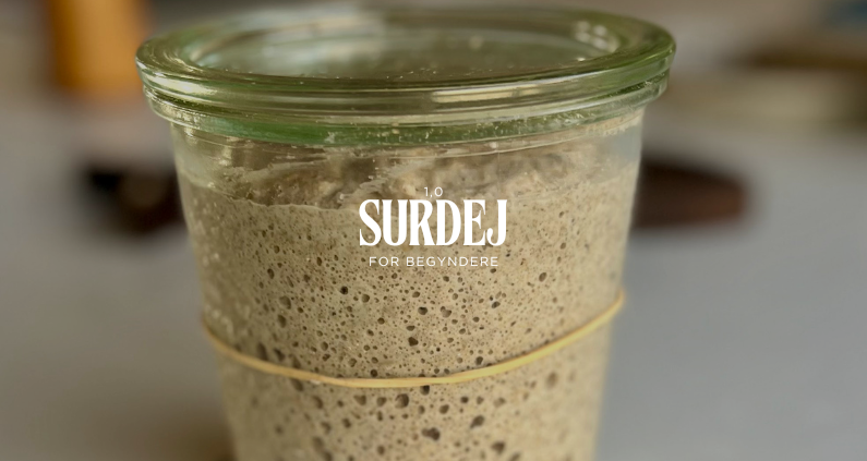 Surdejskursus- Kom godt igang