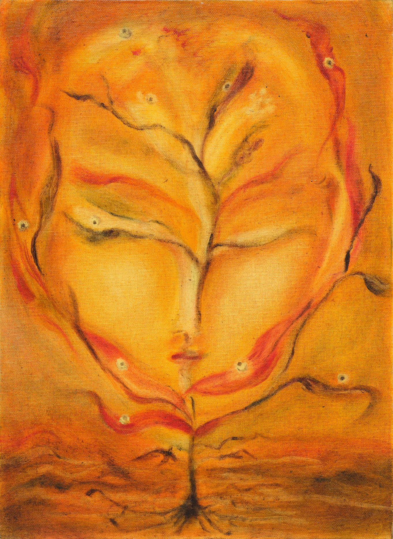 Rundvisning // Kinga Bartis