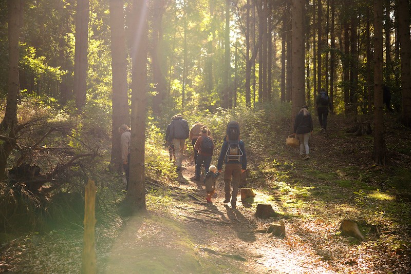 Svampetur Rold Skov, Jylland