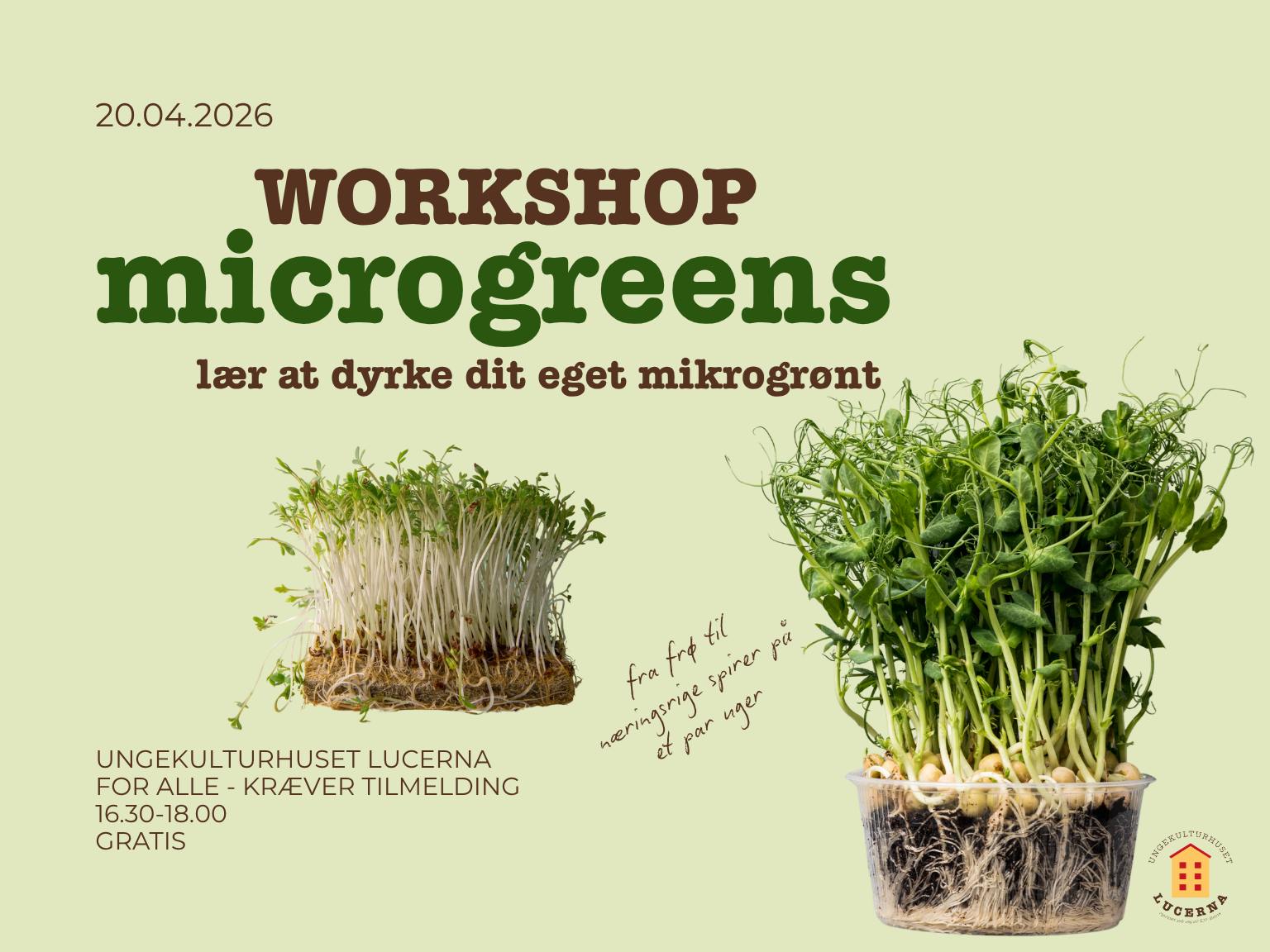Workshop: microgreens