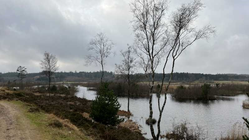 Tur med Dansk Vandrelaug ved Bølling Sø