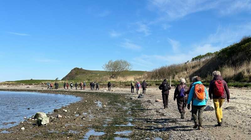 Vandretur med Dansk Vandrelaug ved Sundstrup og Ulbjerg Klint