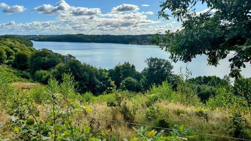 Vandretur ved Skelhøje og Dollerup med Dansk Vandrelaug