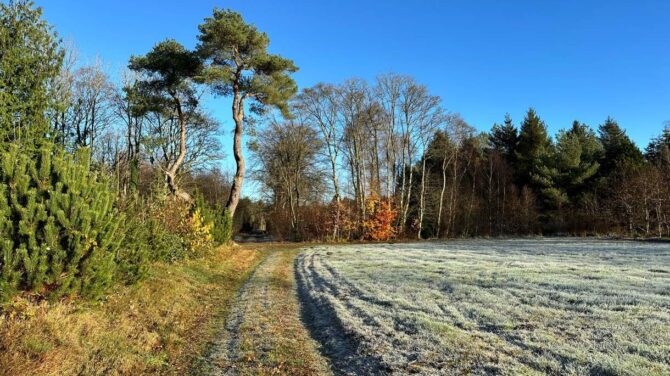 Vandretur på Grathe Hede med Dansk Vandrelaug