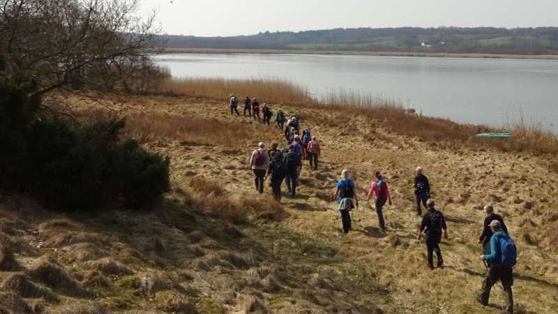 Tur ved Tjele Langsø med Dansk Vandrelaug