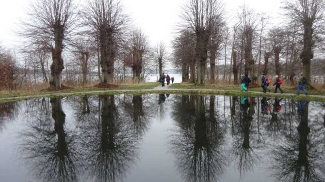 Vandretur i Fussingø Naturnationalpark