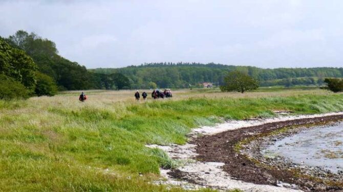Molsruten Kalø-Egå med Dansk Vandrelaug