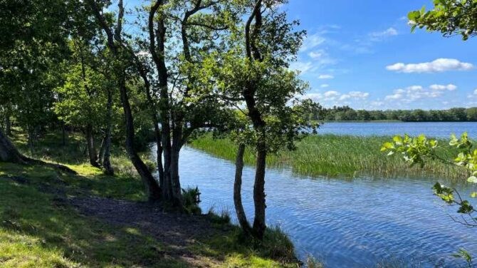 Vandretur ved Vedsø med Dansk Vandrelaug