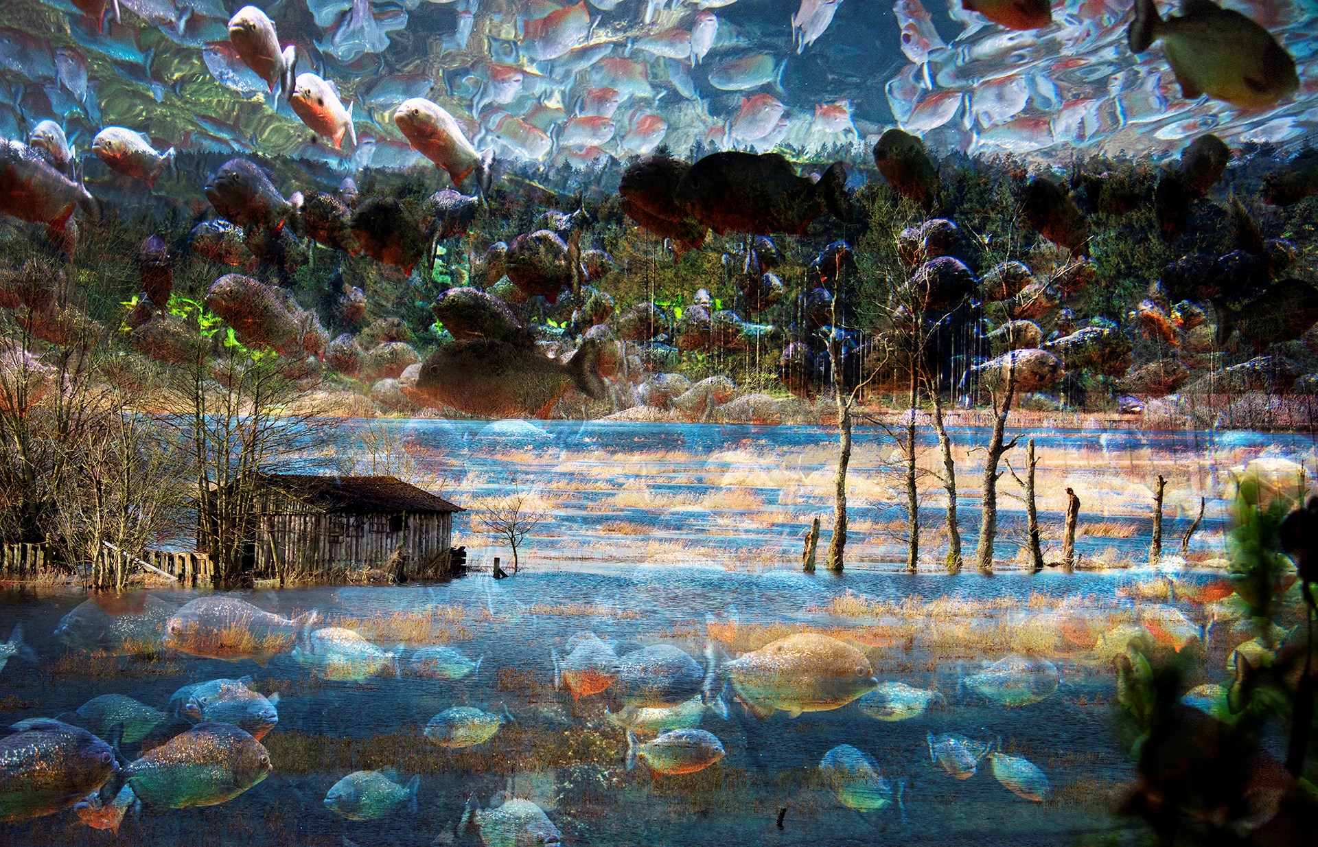 Udstilling - Kunstfotograf Peter Birk