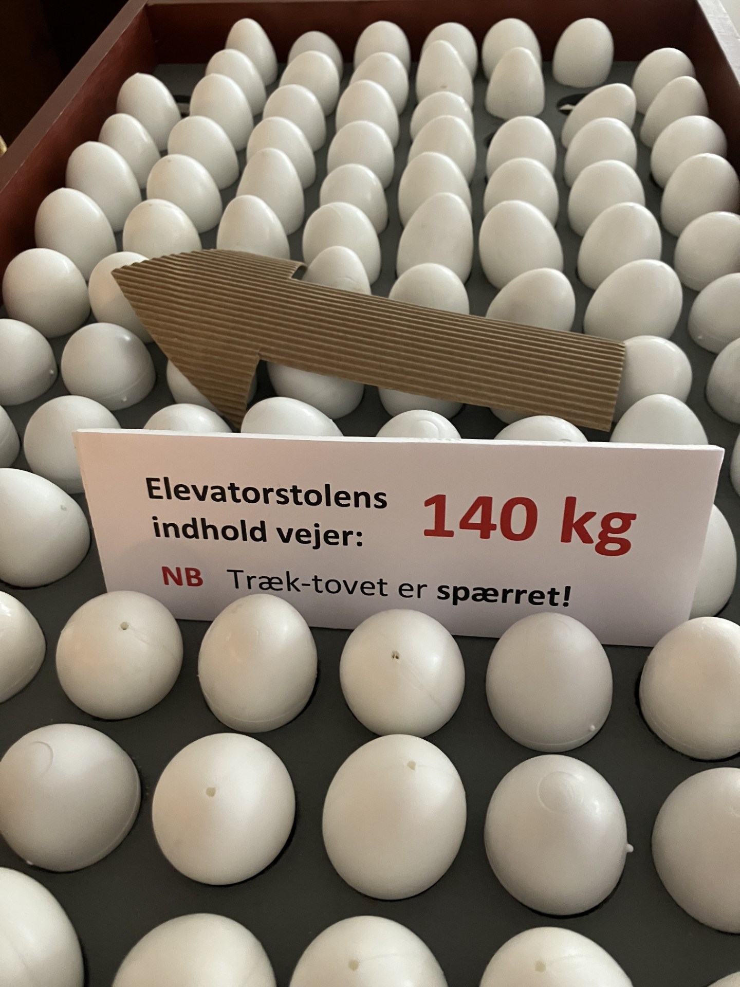 Rundvisning i Danmarks Ægmuseum