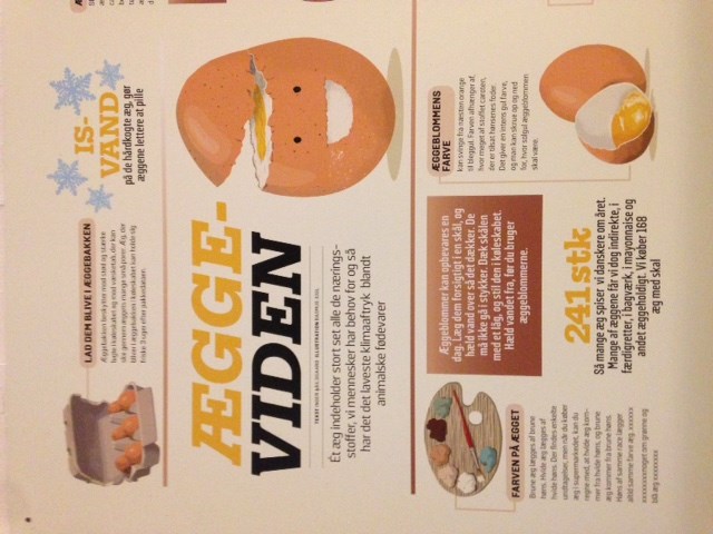 Rundvisning i Danmarks Ægmuseum