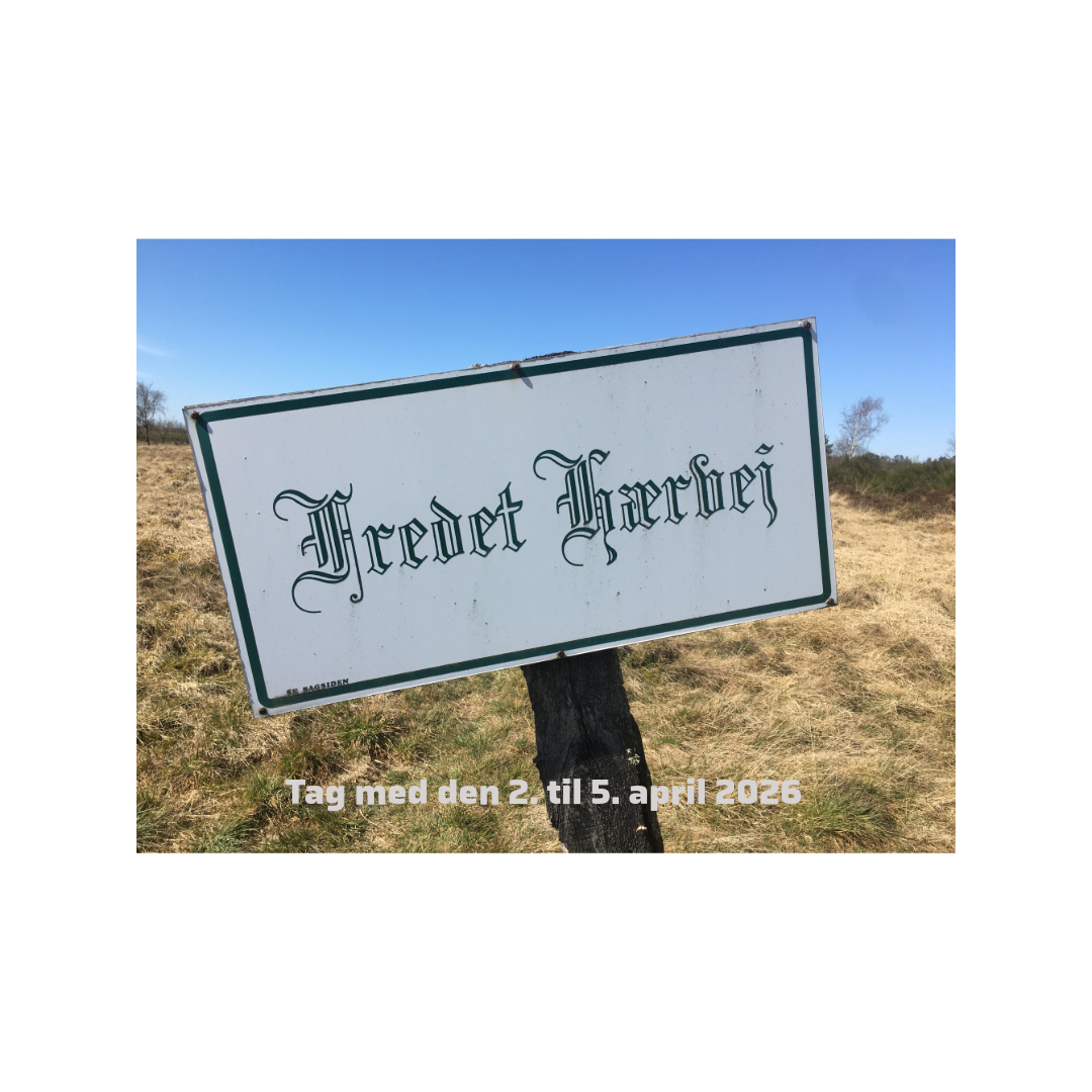 Hærvejen - på sporet af runestenene