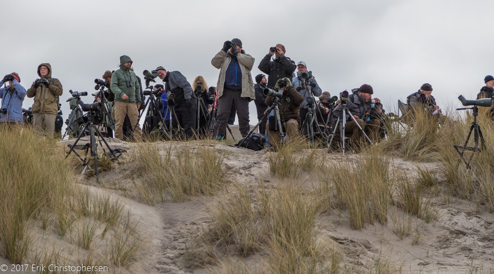 European Birdwatch Day på Grenen