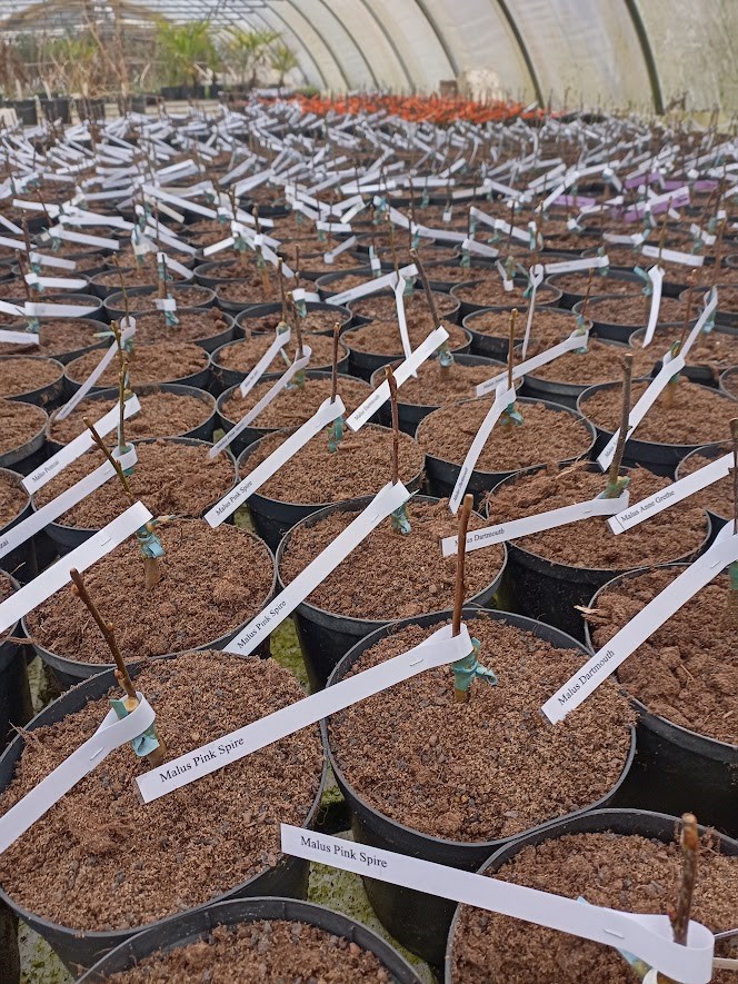 Podekursus, udvidet på Blomstergården ved Viborg