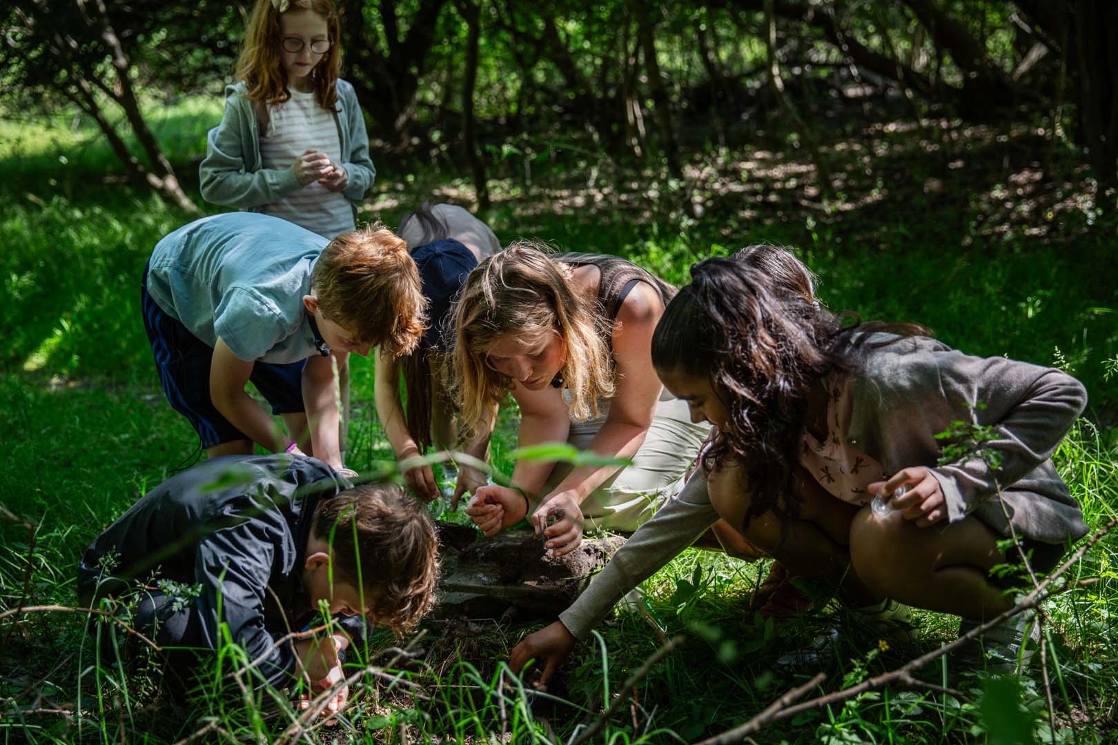 Naturens Dag på Hald 2026