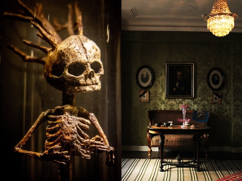 Omvisning i Museum Obscurum: Cornelius' Verden