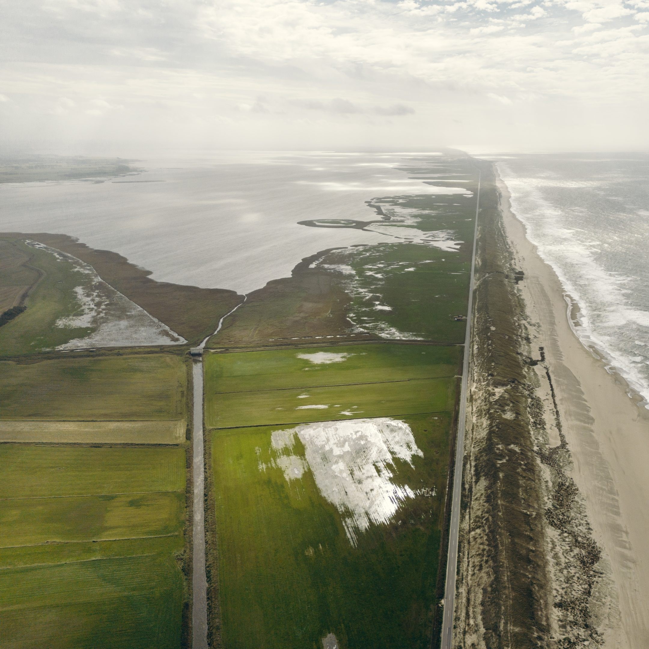 Den Grønne Trepart - udfordringer og potentialer