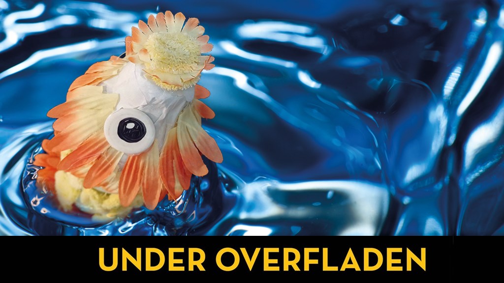 Kulturnat: Under overfladen