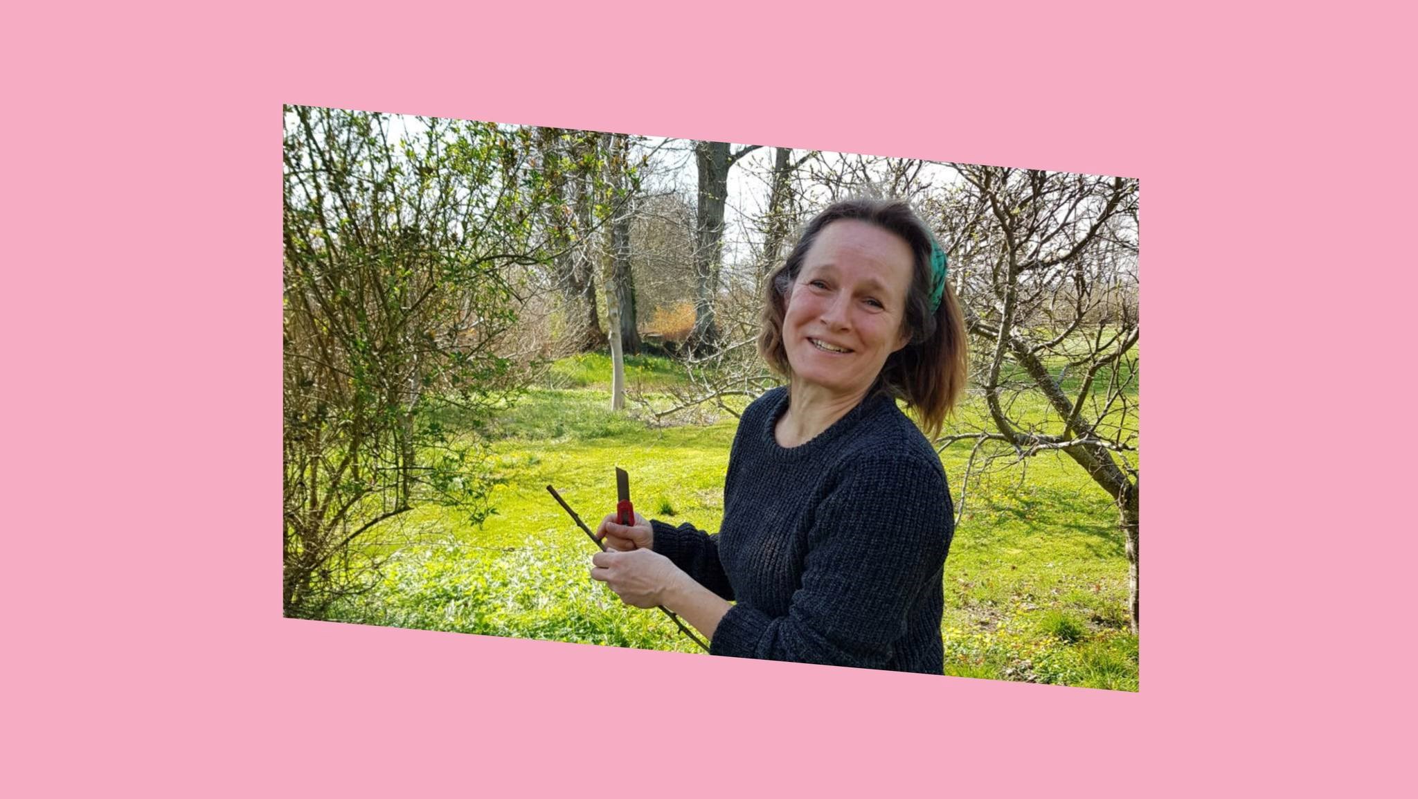 Pod dit eget æbletræ