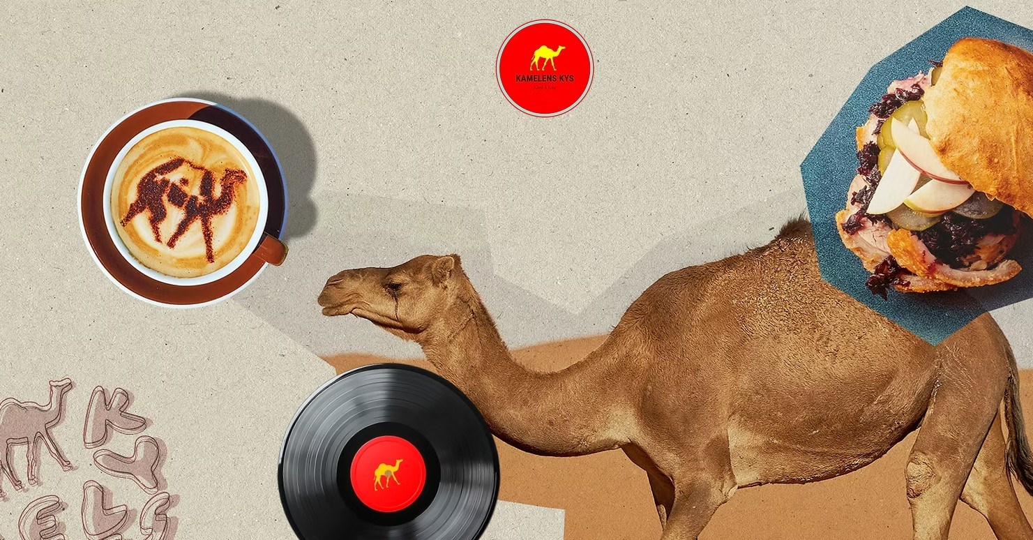 Osteaften på Hundested Havn