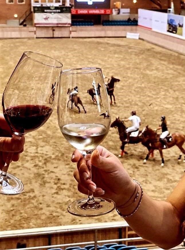 Aarhus Polo Cup 2024