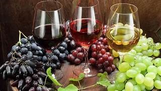 Vinfestival på Tørning Mølle