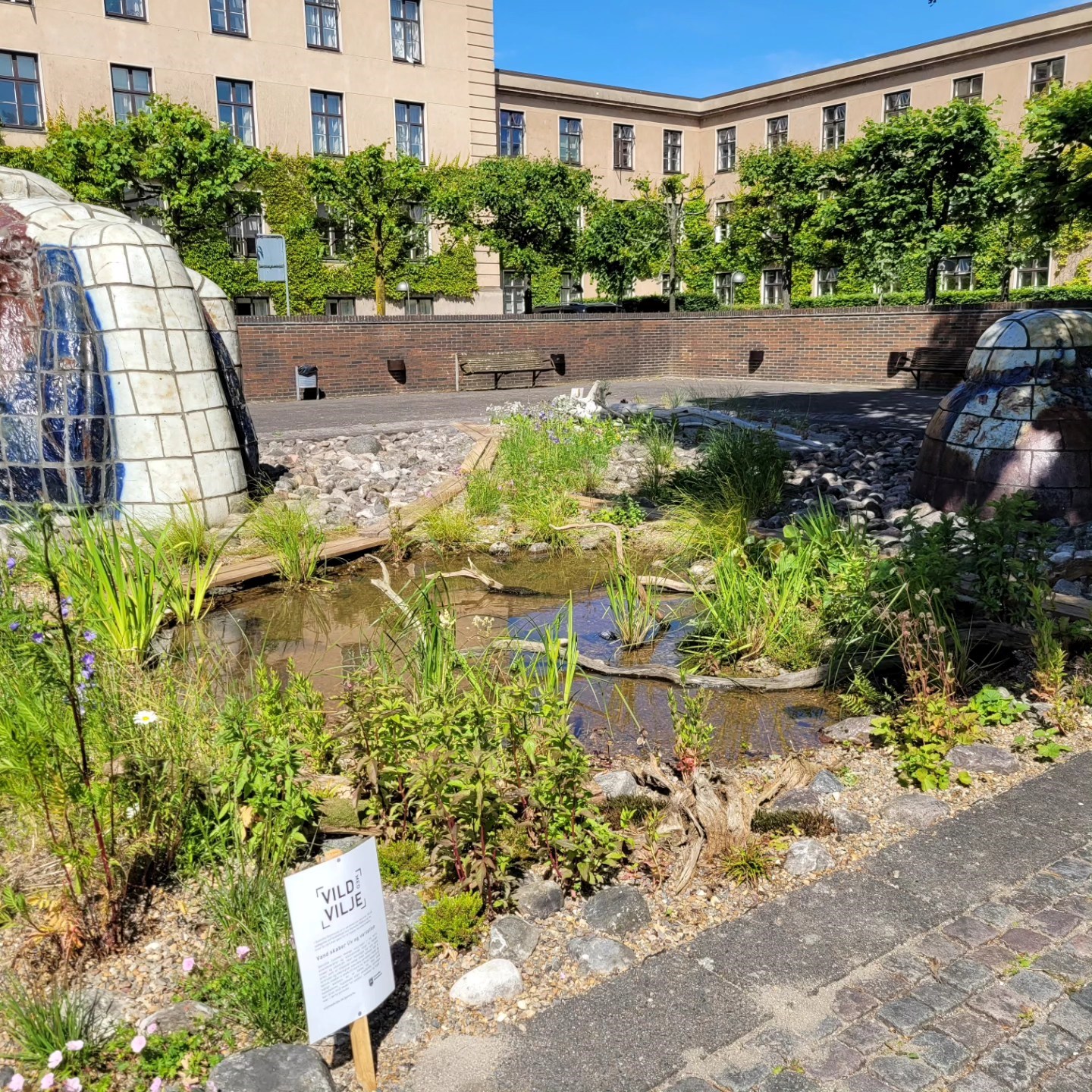 Vilde med Vilje med Grøn Guide Gentofte og Charlotteklubben