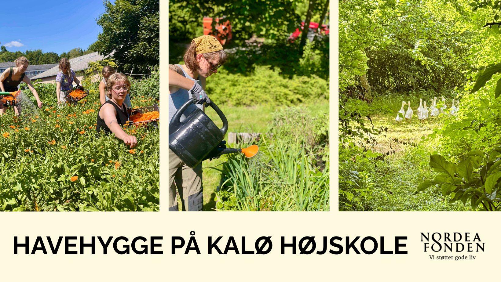 Havehygge på Kalø Højskole