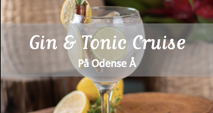 Gin & Tonic Cruise på Odense Å