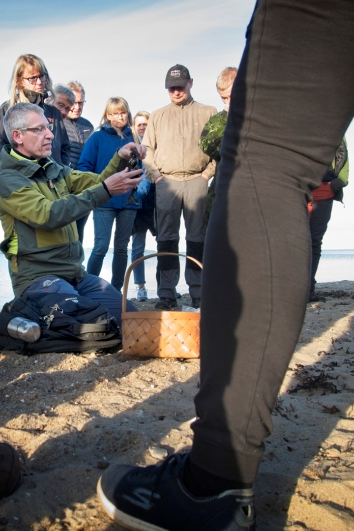 Offentlig naturtur: Liv på engene ved Vognkær Enge