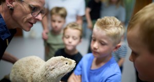 Efterår i Spørgehjørnet - hvor nysgerrighed møder viden