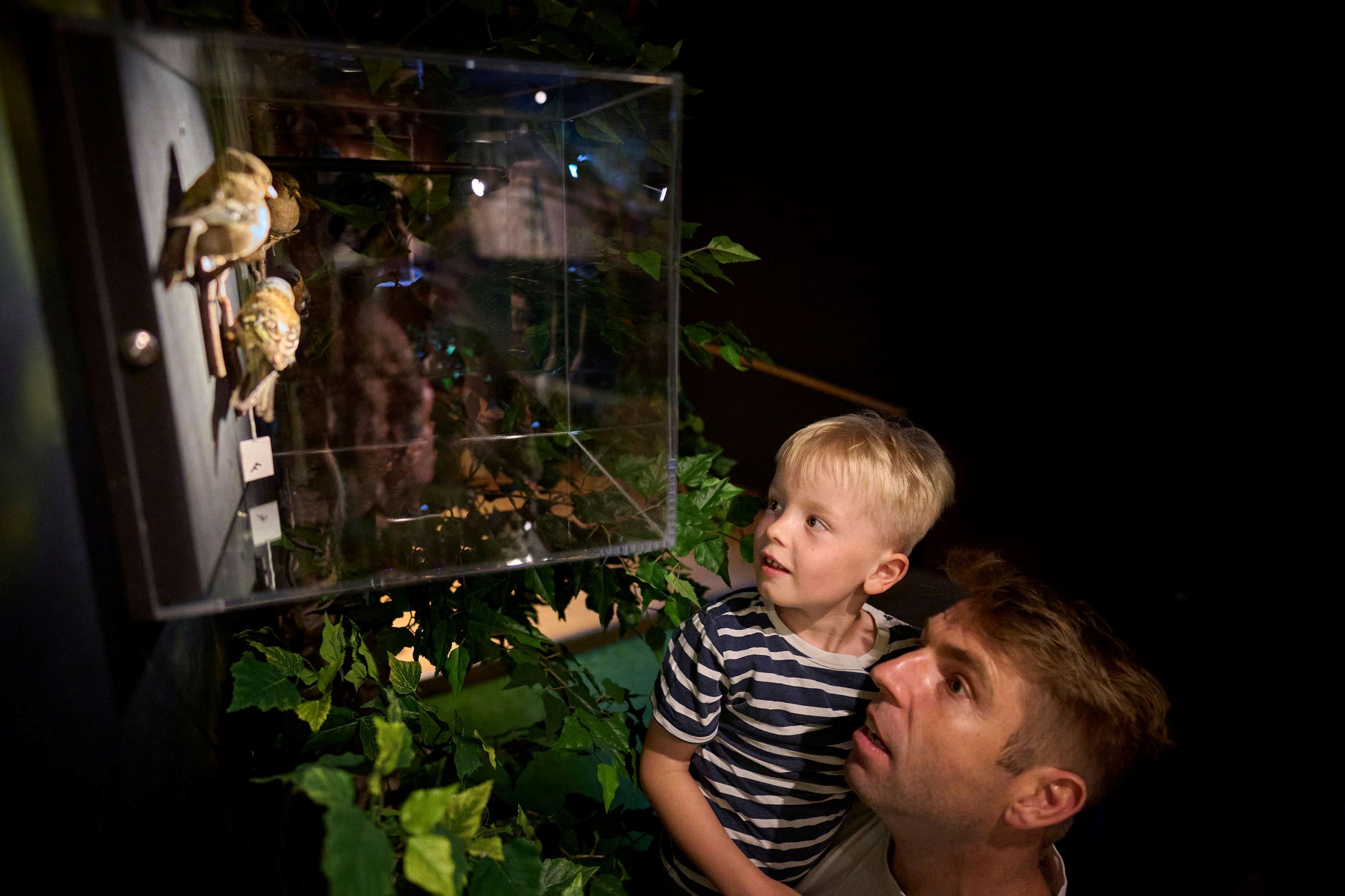 Rundvisning: De første forårstegn