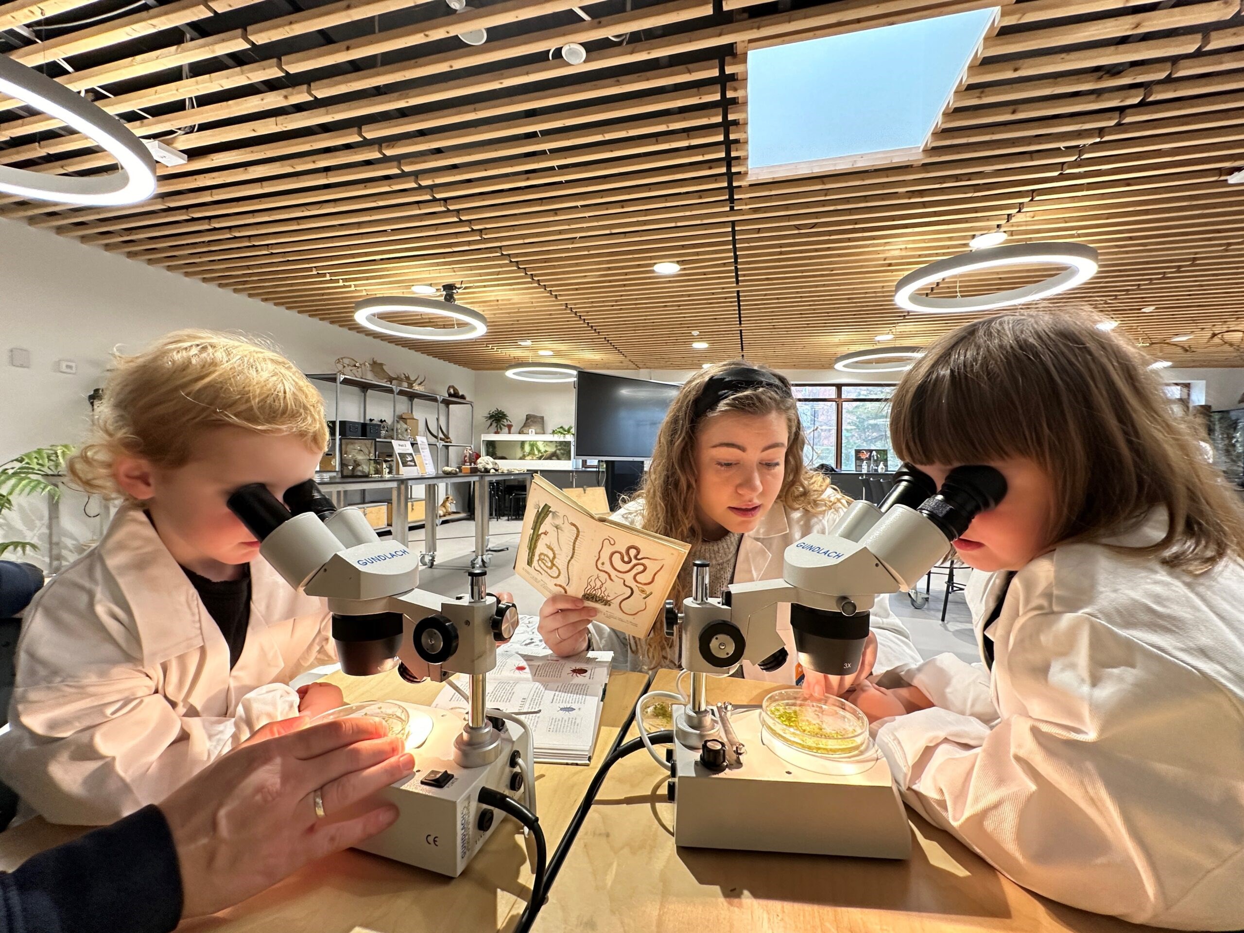 Workshop: Forsker for en dag