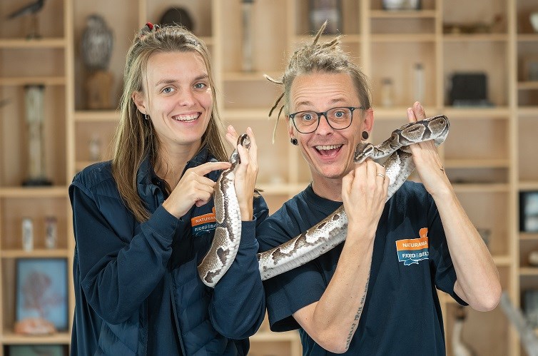 Dyrebattle: Hvilket dyr klarer sig bedst?