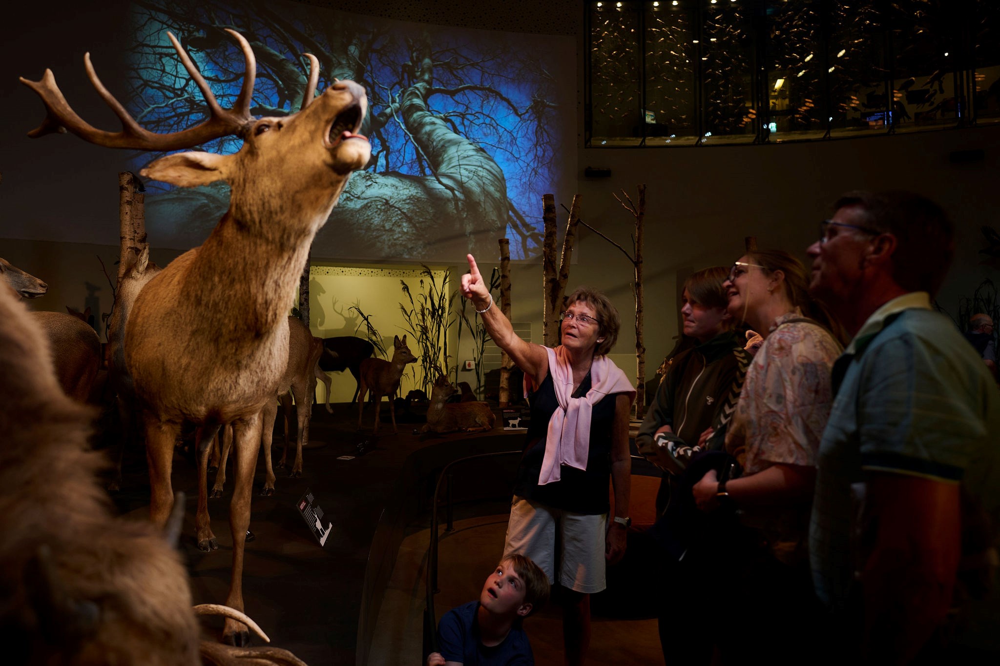 Naturamas Store Quiz: Til lands-, til vands- og i luften