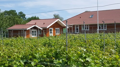 Besøg på Domain Nyballe vingård