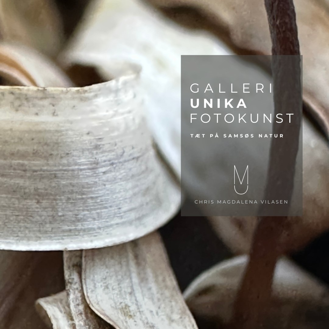Galleri Unika Fotokunst - Tæt på Samsøs natur